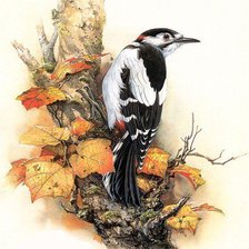 Схема вышивки «птици»