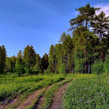 Схема вышивки «Природа»