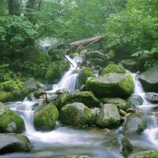 Схема вышивки «Природа»