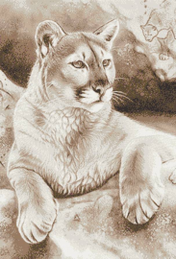 Пума - монохром, большие кошки, животные, сепия - предпросмотр