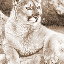 Схема вышивки «Пума»