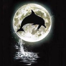 Схема вышивки «делфин монохром»