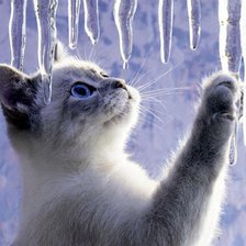 Схема вышивки «Котенок и весенняя капель»