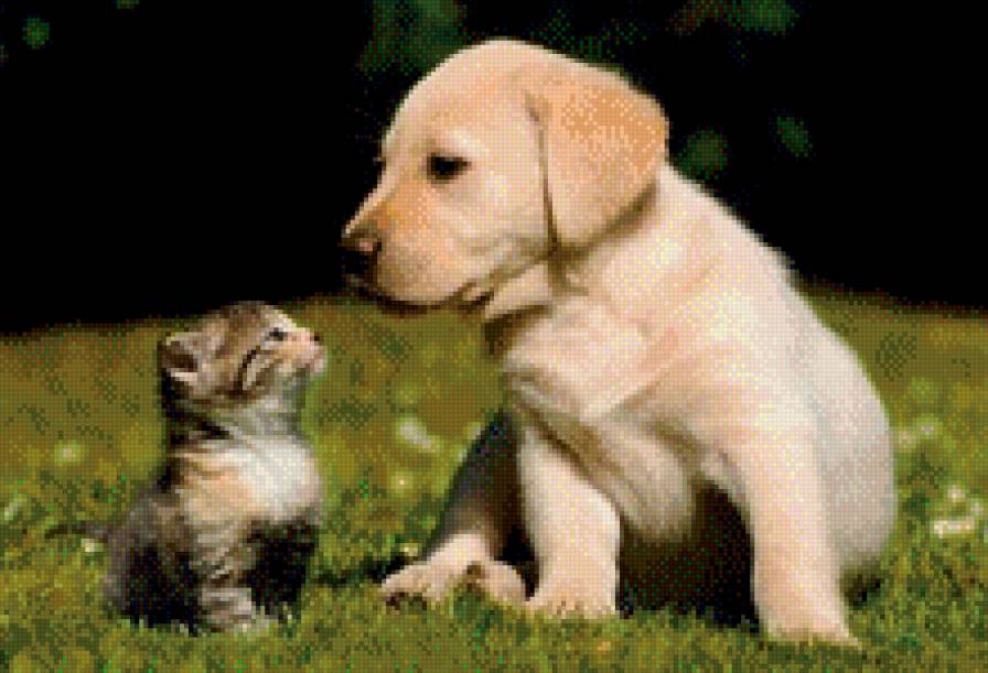 Друзья-малыши - собака, природа, хищники, животные, кошка - предпросмотр