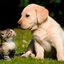 Схема вышивки «Друзья-малыши»