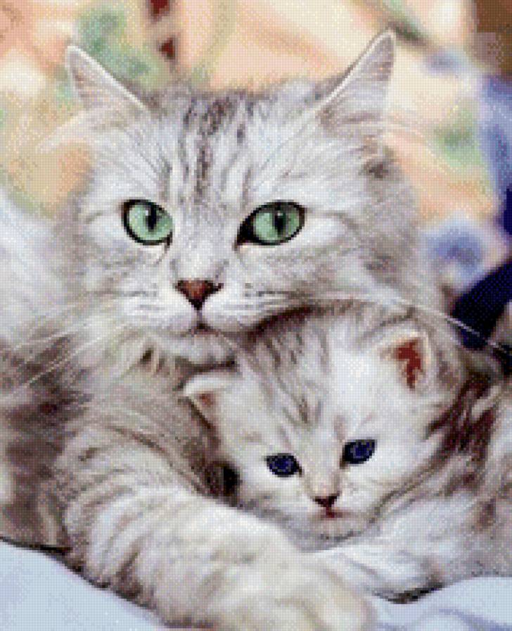 Мать и дитя - кошка, природа, животные, хищники - предпросмотр