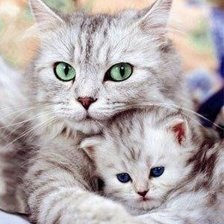 Схема вышивки «Мать и дитя»