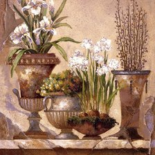 Схема вышивки «Натюрморт с ирисами»