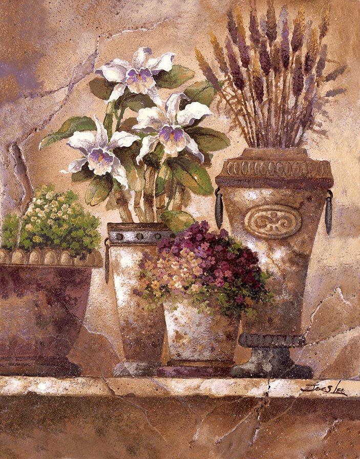 Натюрморт с орхидеями - цветы, орхидеи, натюрморты - оригинал