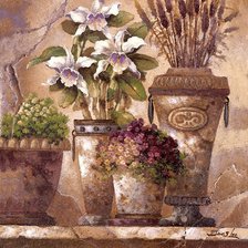 Схема вышивки «Натюрморт с орхидеями»