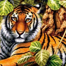 Схема вышивки «красавец»