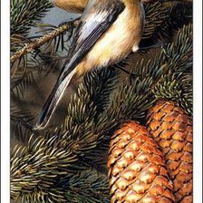 Схема вышивки «панно птицы на ветке»