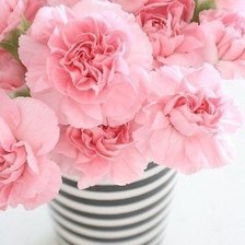 Схема вышивки «Весенние цветы»