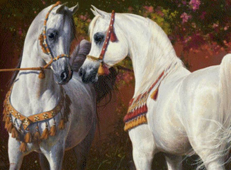 красавицы лошадки - лошадь, природа, конь, животные - предпросмотр