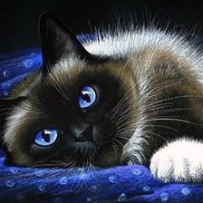 Схема вышивки «синеглазый пушистик»