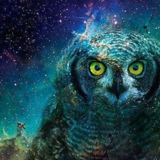 Схема вышивки «Вселенская сова»