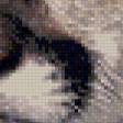 Предпросмотр схемы вышивки «котенок» (№522039)
