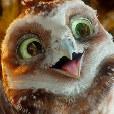 Схема вышивки «Капуша»