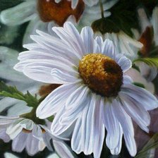 Схема вышивки «подушка»