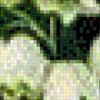 Предпросмотр схемы вышивки «ландыши» (№522241)