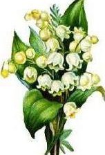 Схема вышивки «ландыши»