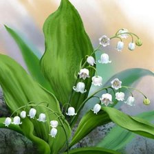 Схема вышивки «ландыши»