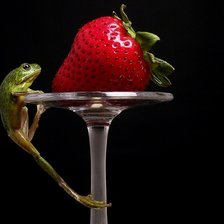 Схема вышивки «Лягушонок»