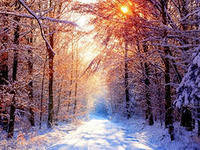 Схема вышивки «природа»