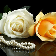 Схема вышивки «Розы»