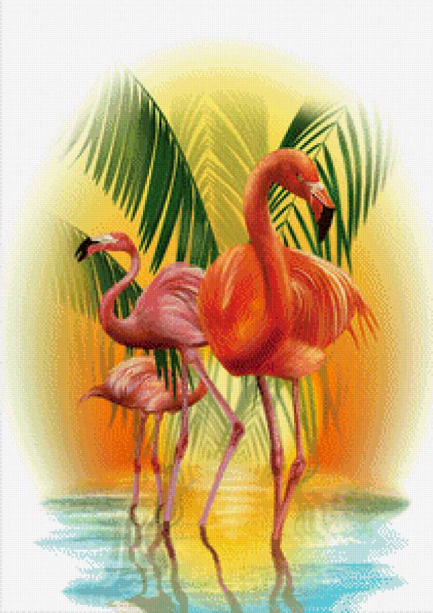 фламинго - предпросмотр