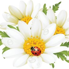 Схема вышивки «Цветы»