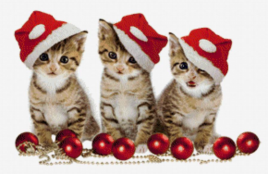 The Christmas Cat - предпросмотр