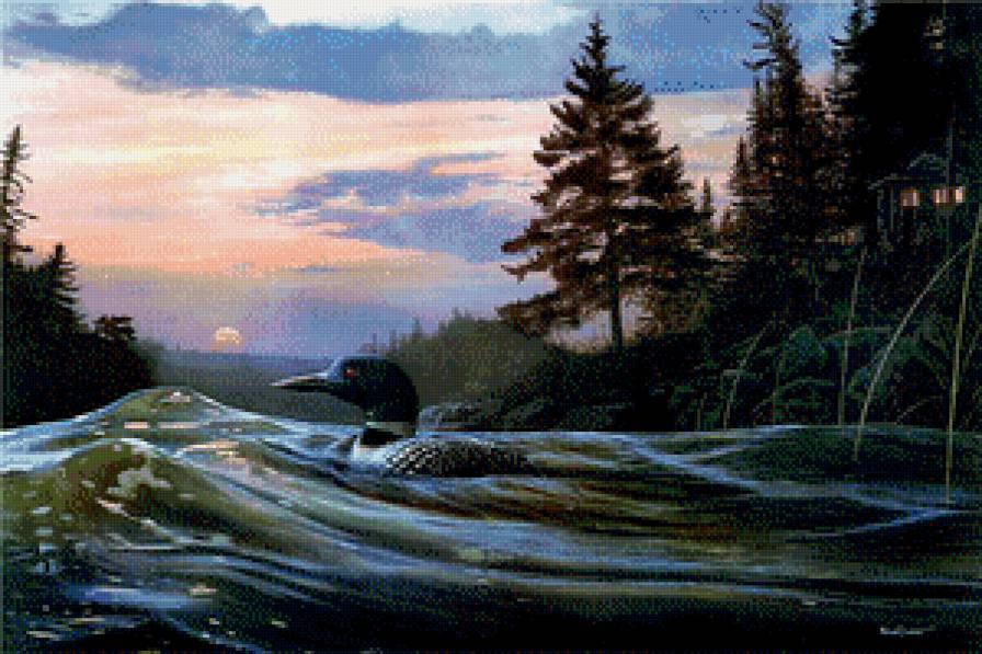 Северное озеро - пейзаж, птицы, озеро, домик, утки - предпросмотр