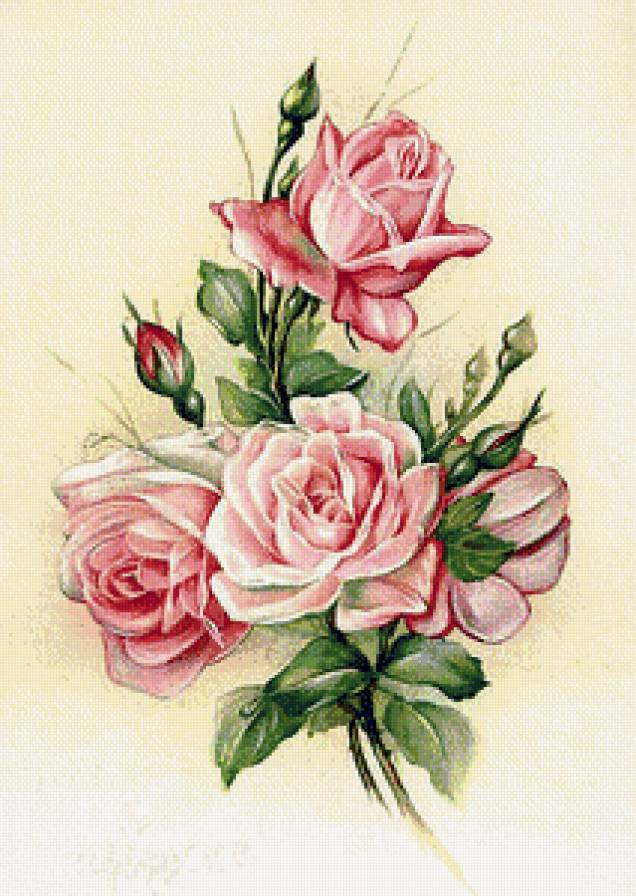 роза - розовые, розы, цветы - предпросмотр