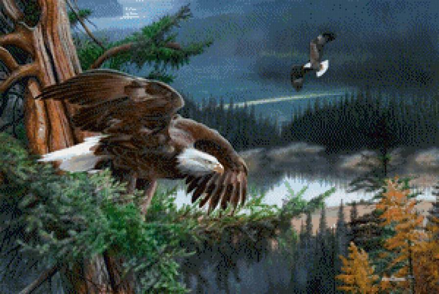 Над пропастью - орлы, горы, пейзаж, птицы - предпросмотр