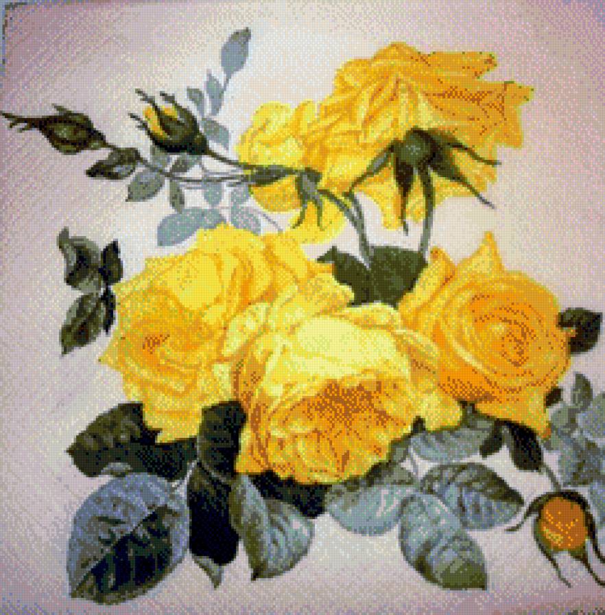 желтые розы - цветы, подушки - предпросмотр