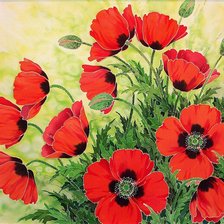 Схема вышивки «маки»