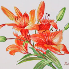 Схема вышивки «лилия»