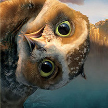 Схема вышивки «Капуша 2»