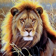 Схема вышивки «король-лев»