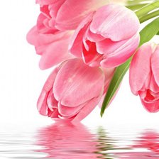 Схема вышивки «цветы»