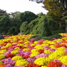 Схема вышивки «япония 5»