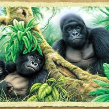 Схема вышивки «Гориллы»