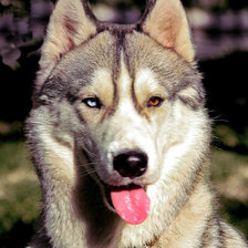 Схема вышивки «№523091»