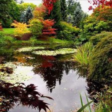 Схема вышивки «осень»