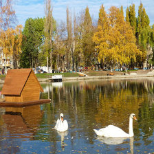 Схема вышивки «осень»