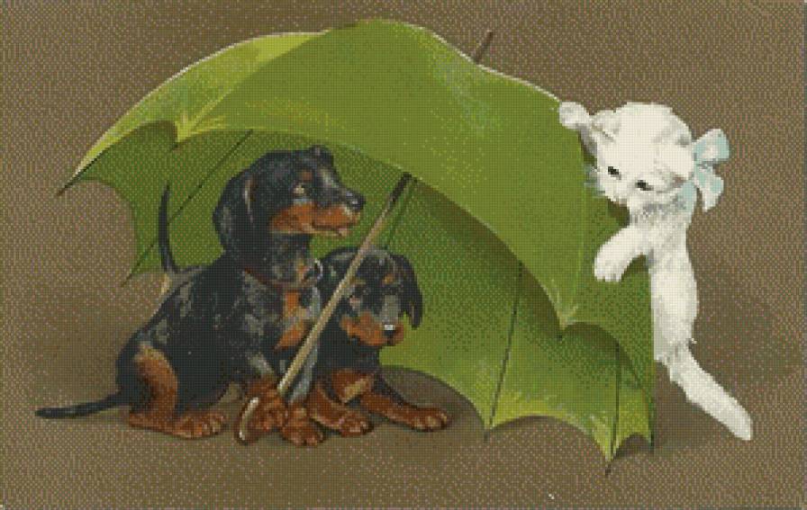 Играем в прятки - кот, собака, зонтик, животные - предпросмотр