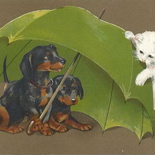 Схема вышивки «Играем в прятки»