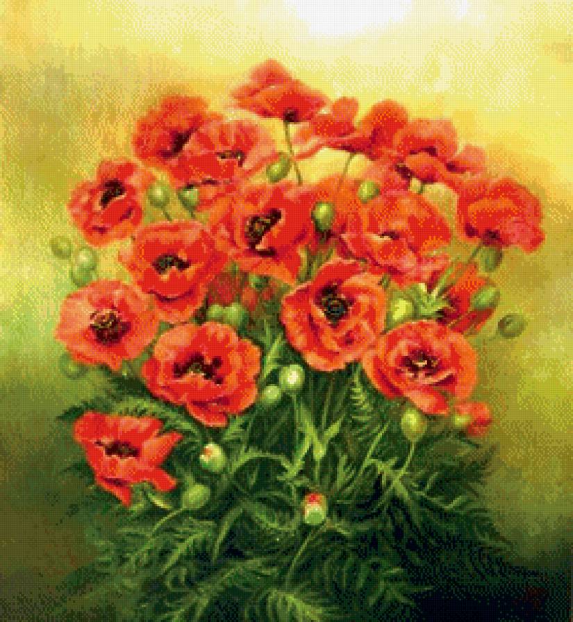 Маки - маки, цыеты, букет, живопись - предпросмотр