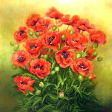 Схема вышивки «Маки»